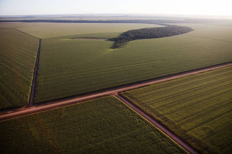 Vista aérea de fazenda de grande escala em Mato Grosso